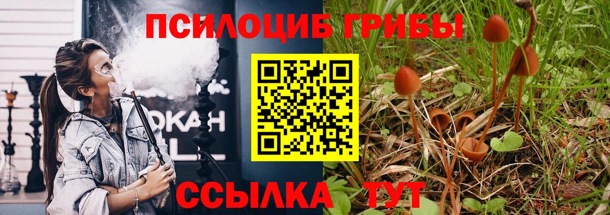 Галлюциногенные грибы мицелий  Вход с VPN  Чехов  Галлюциногенные грибы мухоморы 